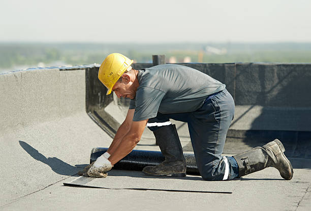 Best Professional Insulation Contractor  in Lakeview Estates, GA