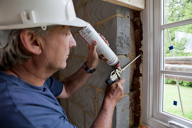 Best Home Insulation Services  in Lakeview Estates, GA